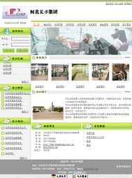 滄州餐飲網的崛起 電子商務與網站建設的革新之路